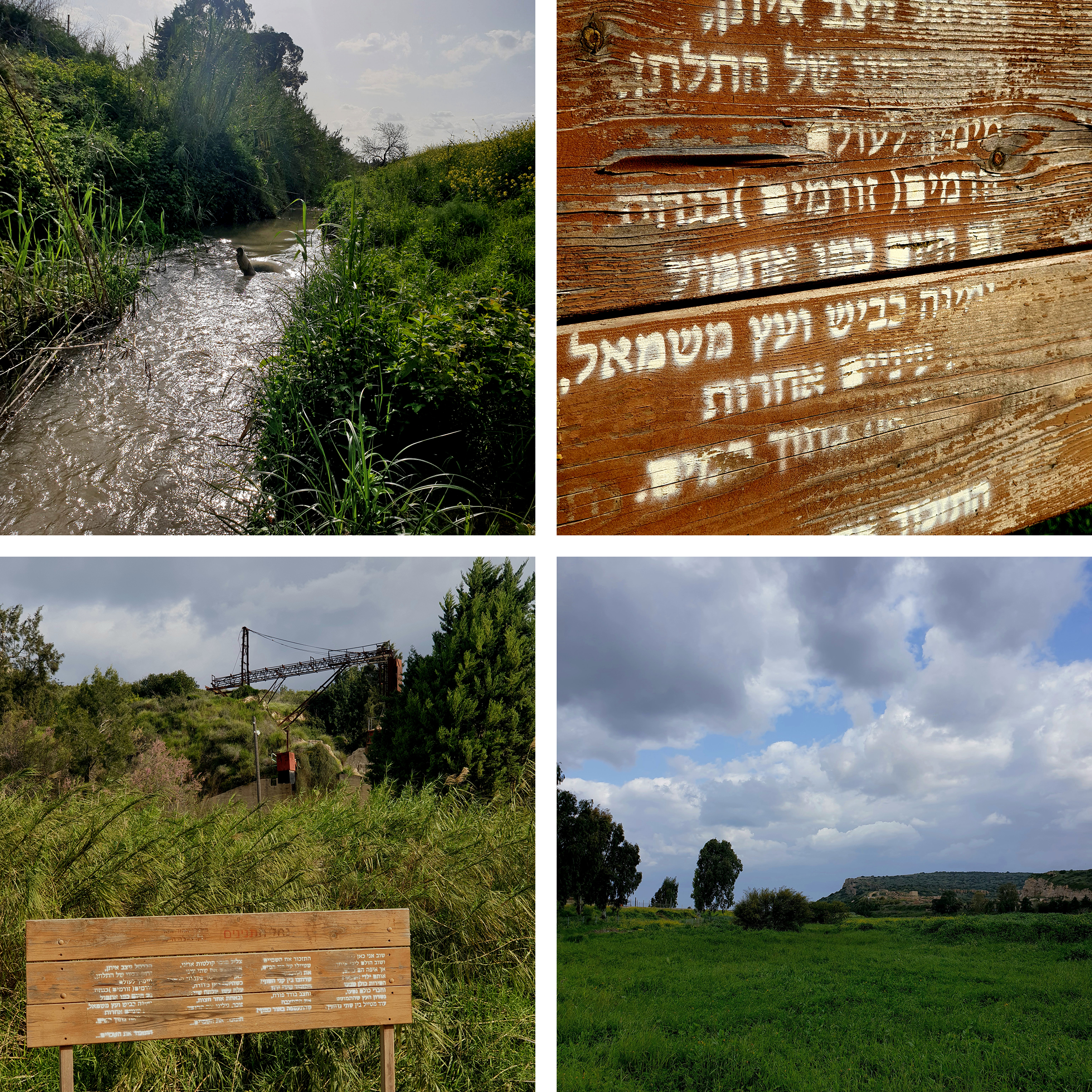 צילום עדו לביא
